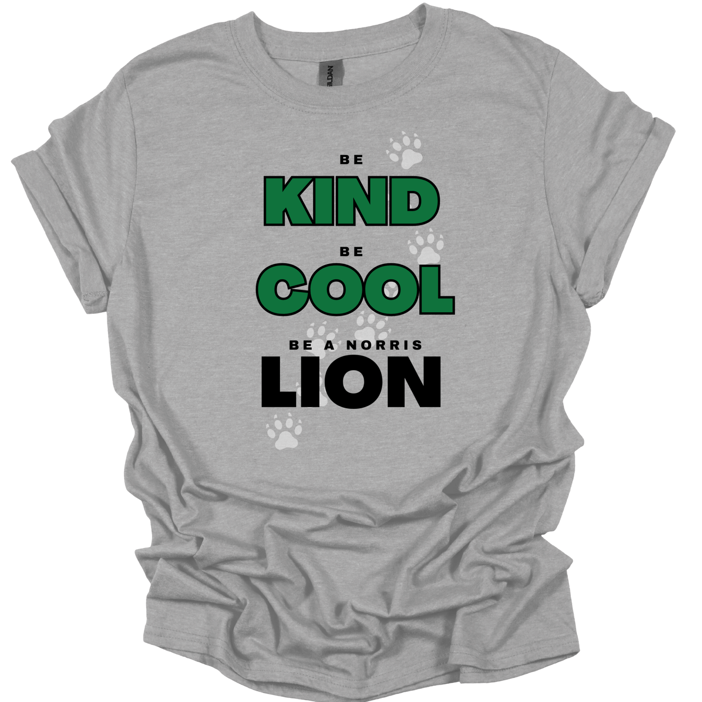 Be Kind, Cool, Lion T-Shirt | Youth & Adult