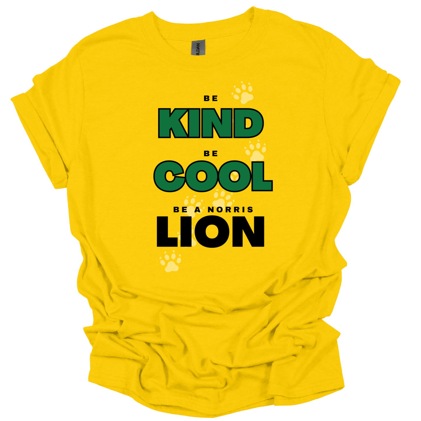 Be Kind, Cool, Lion T-Shirt | Youth & Adult