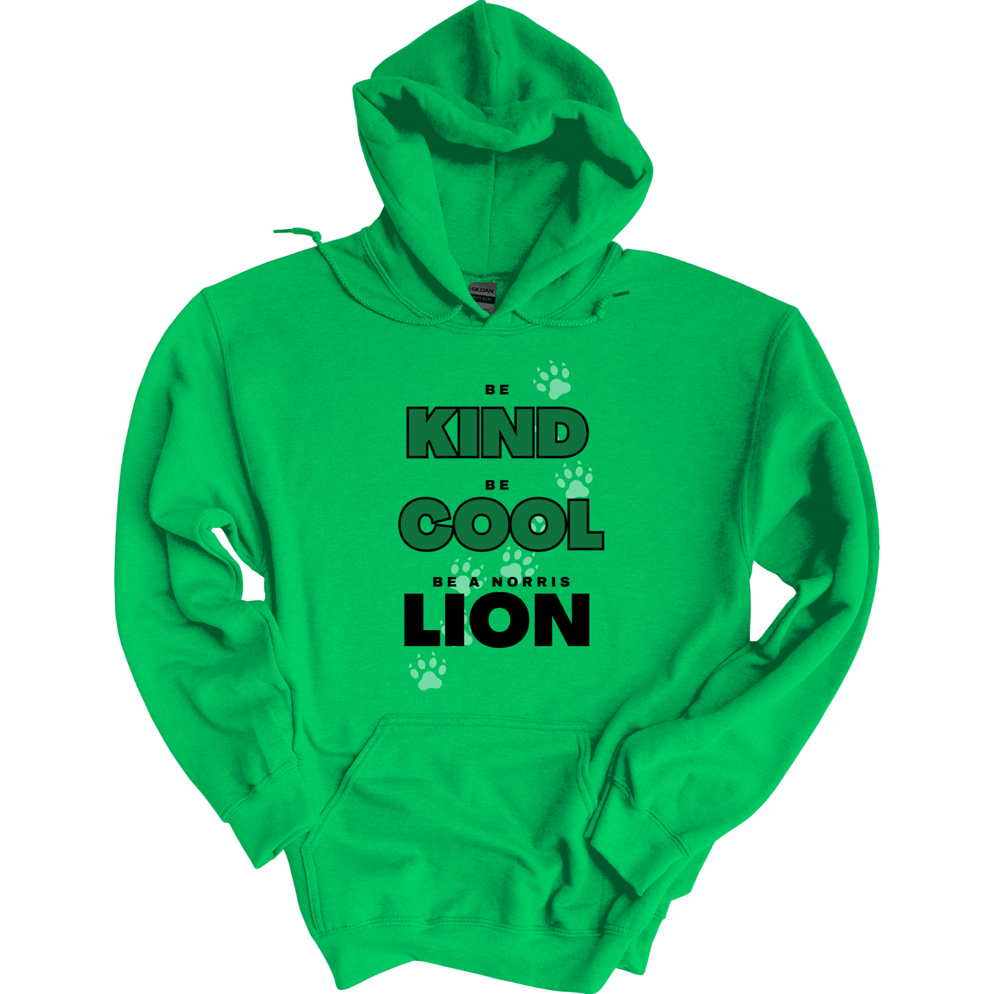 Be Kind, Cool, Lion Hoodie Sweatshirt | Youth & Adult