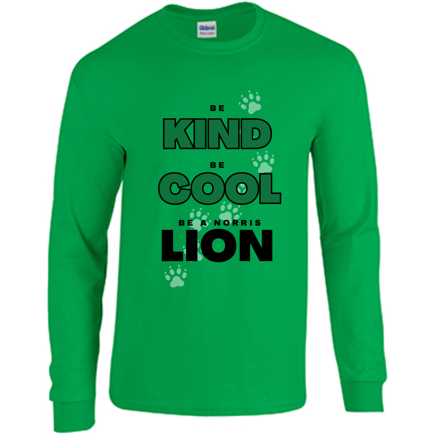 Be Kind, Cool, Lion Long Sleeve T-Shirt | Youth & Adult